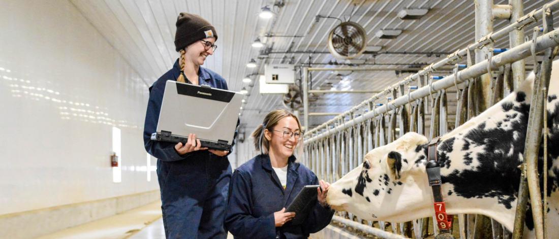 Bachelors in Animal Science in Ireland